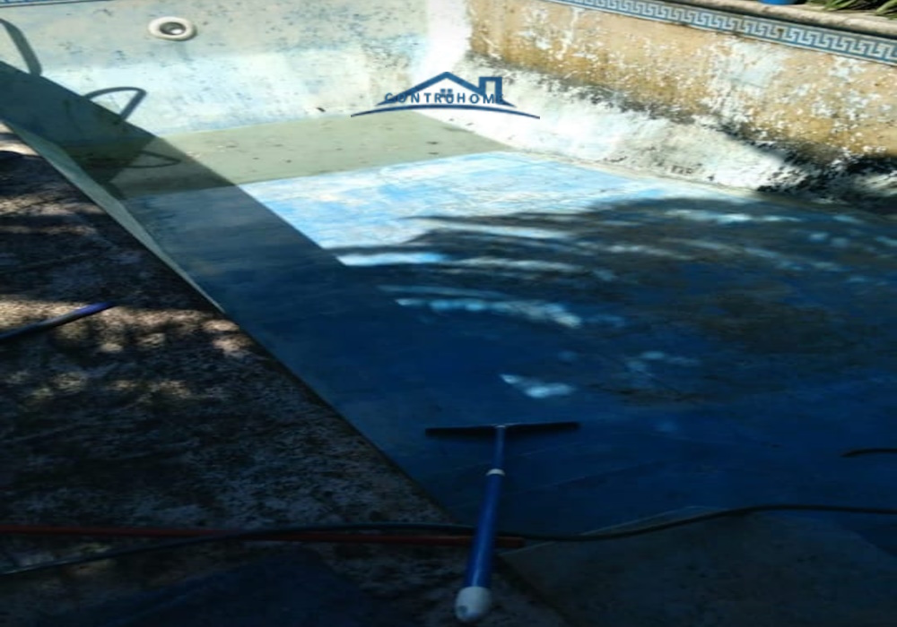 Lorem ipsum dolor sit amet